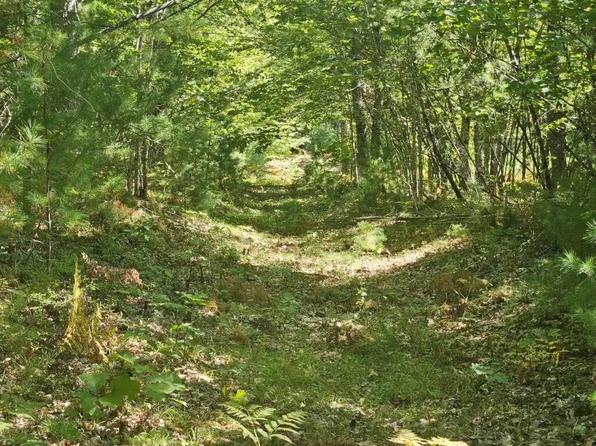Lot 9 Pequawket Trail, Standish, ME 04084