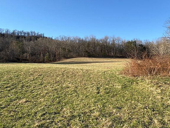 4th image of 0 Millers Run Fallen Timber Rd