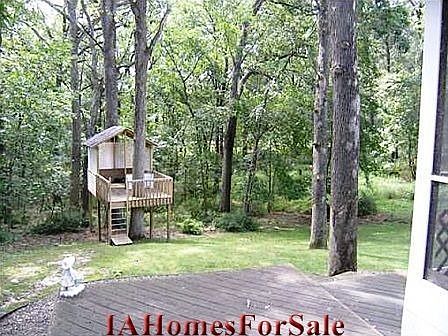 Backyard with Tree House