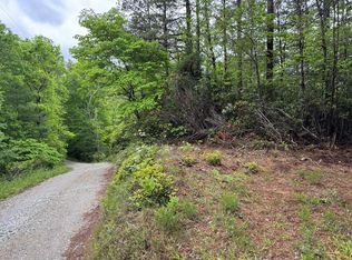 102 Highway 19s Sky Ridge Dr, Bryson City, NC 28713