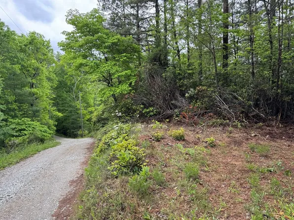 102 Highway 19s Sky Ridge Dr, Bryson City, NC 28713