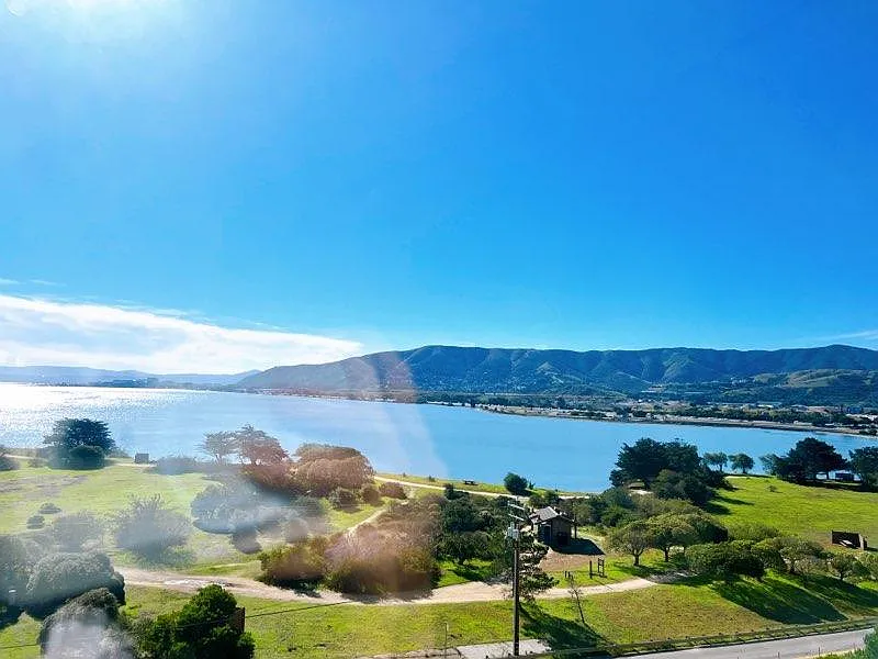 2 bed, 984 sqft, $4,500 — Photo 4