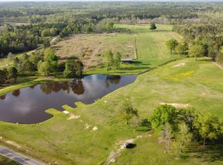 9399 Hopewell Rd, Lizella, GA 31052