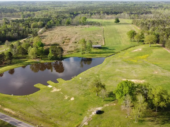 9399 Hopewell Rd, Lizella, GA 31052