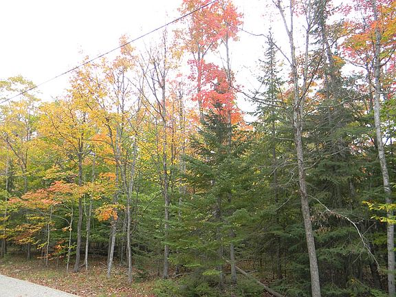 3rd image of Fawn Ln