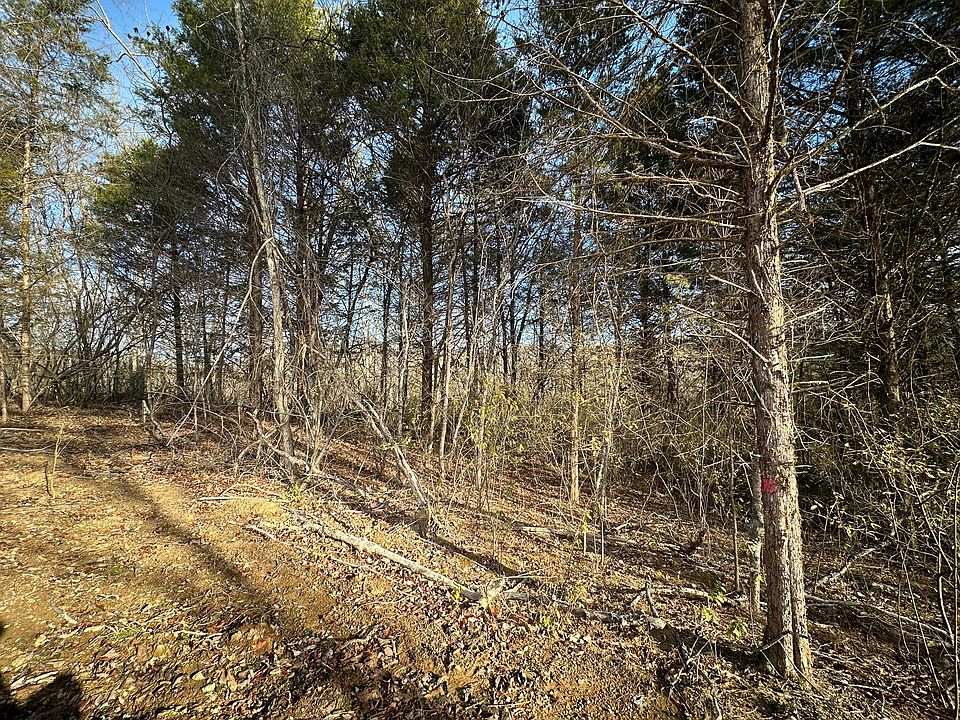 1st image of 3.02 Peytonsburg Sulphur Rd