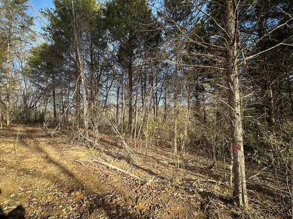 3.02 Peytonsburg Sulphur Rd, Burkesville, KY 42717