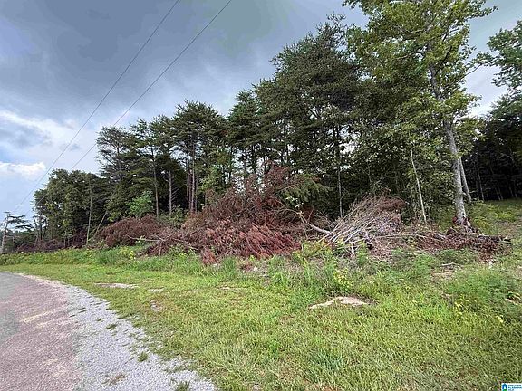 3rd image of 55 Mountain Brow Dr #1