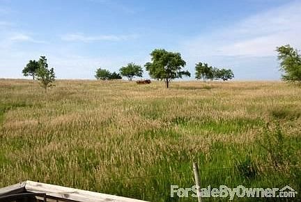 View from the deck! See the horses?