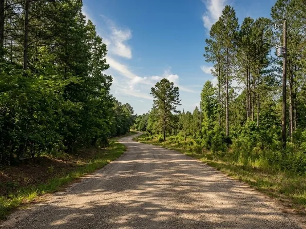 0 Sandcut Rd Lot 1, Nauvoo, AL 35578
