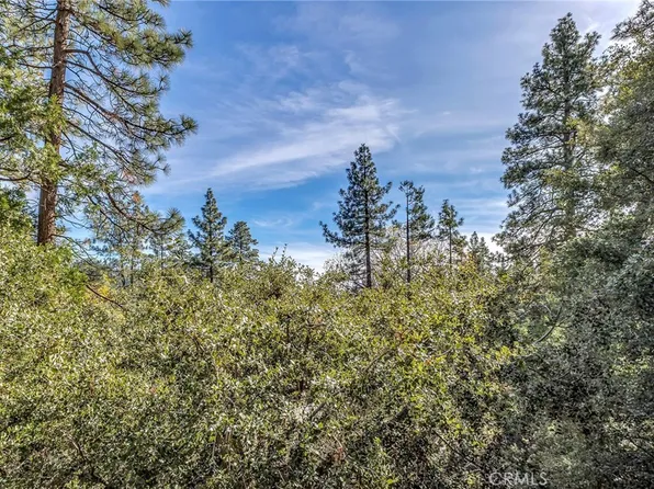 0 Jeffery Pine Rd Lot 36, Idyllwild, CA 92549