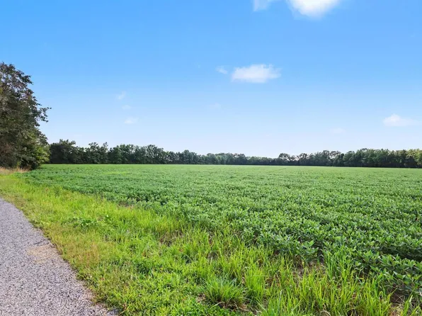 0 Neal Rd, Bethel, OH 45106