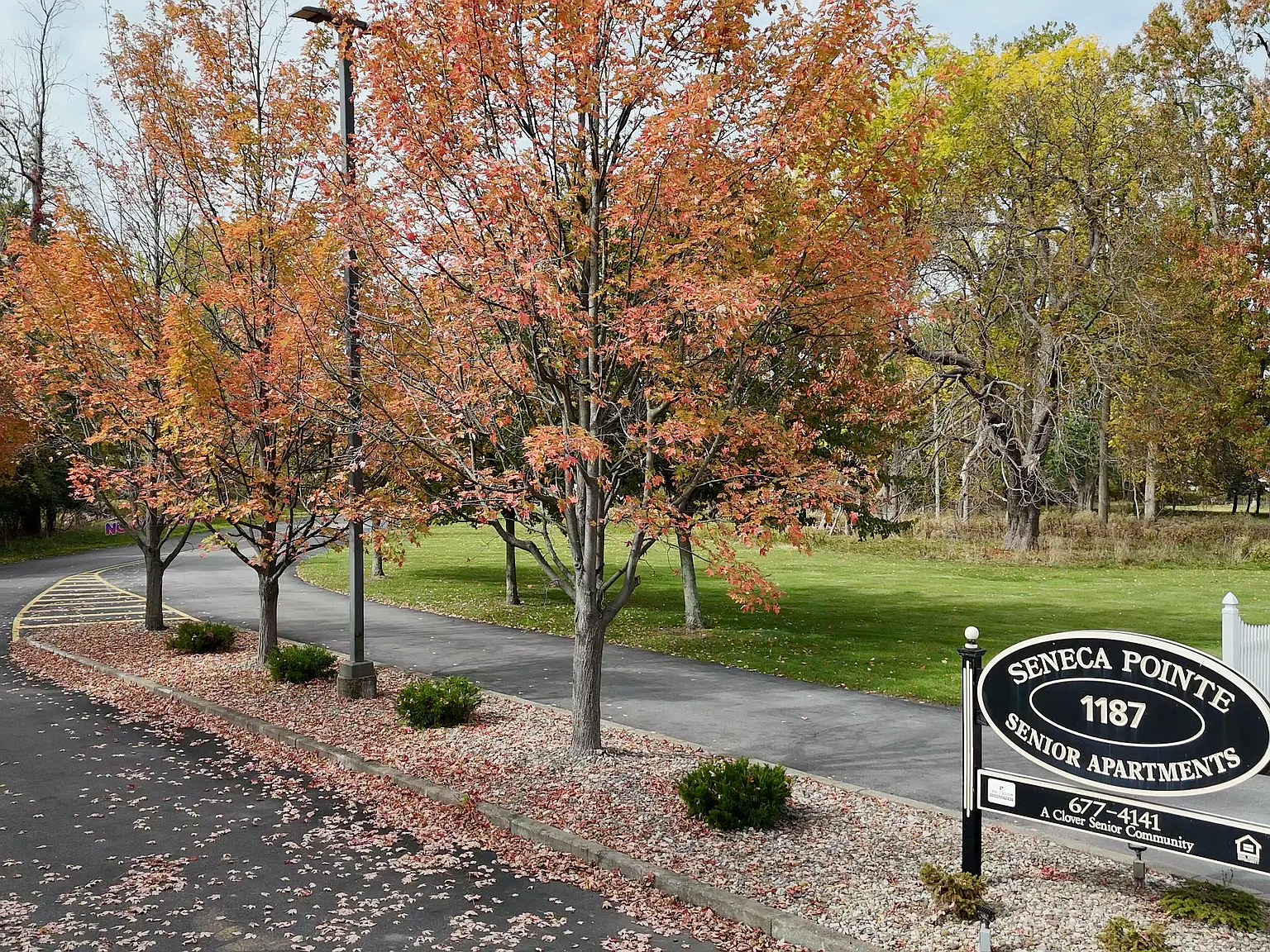 Seneca Pointe — Photo 2