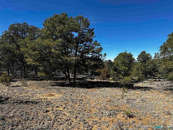 4th image of Xx Wild Horse Ranch Rd