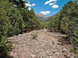 1561 Fish Hvn, Crestone, CO 81131