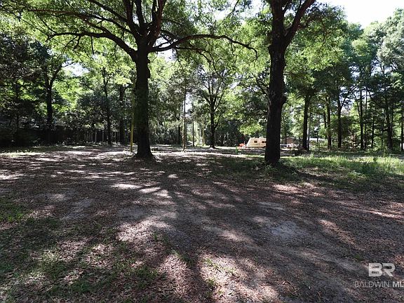 5th image of 14842 County Road 9