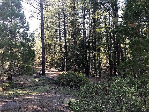 3rd image of LOT 11 California Pines Blvd