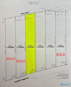 3 County Road 59, Moulton, AL, 35650