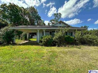 243 High Hill Rd, Lake view, SC 29563