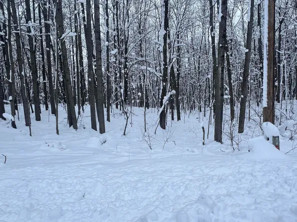 11995 Hudson Bay Dr, Stanwood, MI 49346