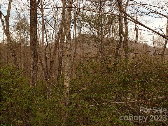 3rd image of LOT 42 Flynn Ct