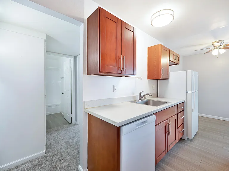 The Canopy | Kitchen