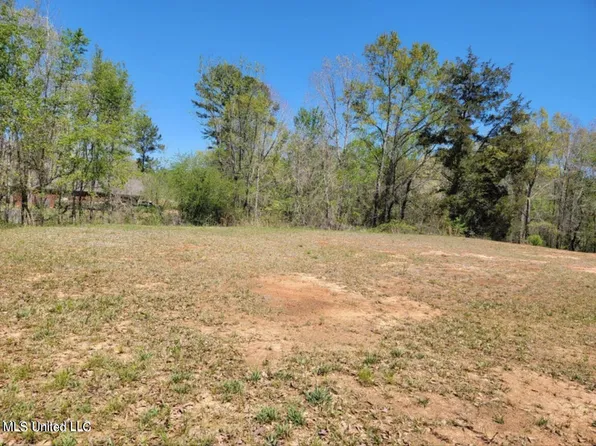 184 Magnolia Spgs, Florence, MS 39073