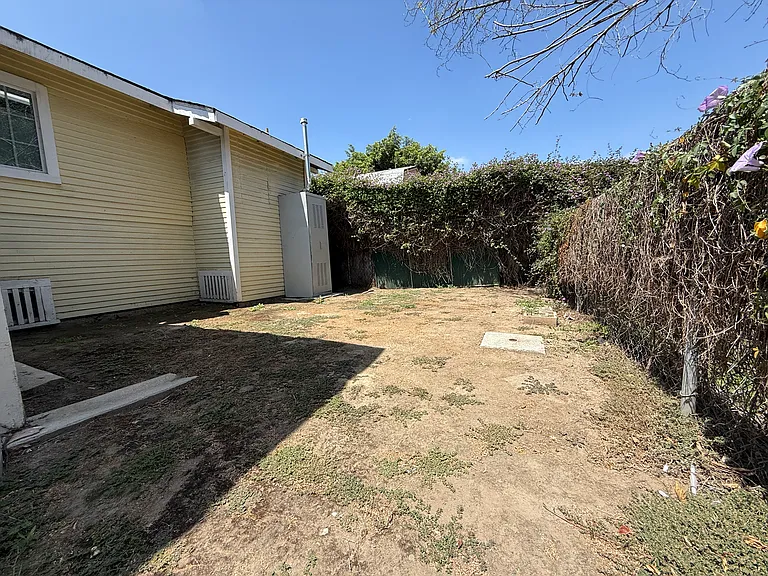 back yard