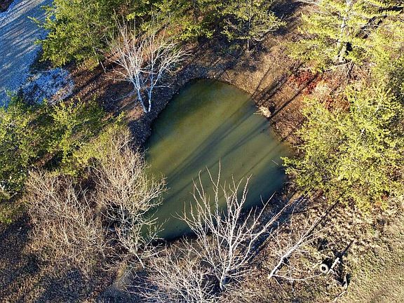 5th image of 25 Myers Loop Rd