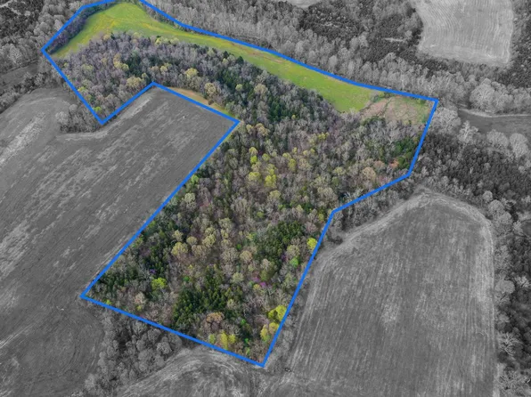 5200 Holy Cross Rd, Loretto, KY 40037