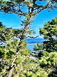 39 Shepherds Knls Unit 39, Pebble Beach, CA, 93953