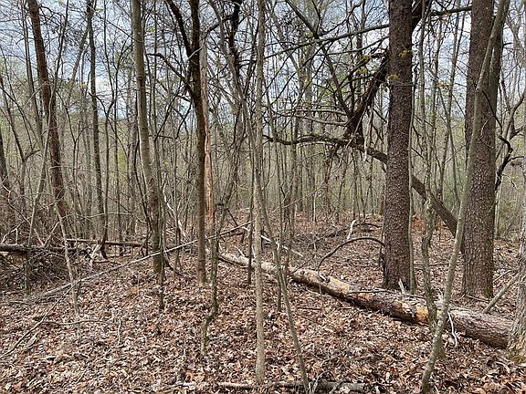 5th image of LOT 9B Grandview Dr