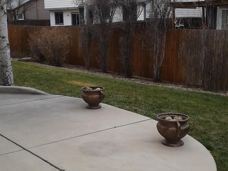 Beautiful back yard with cement porch for barbecues.
