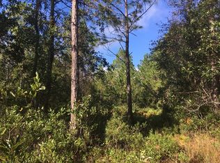 100 Sye Ln, Brunswick, GA 31523