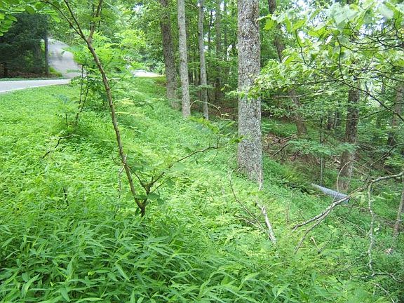 4th image of 240 N Sanderlin Mountain Dr