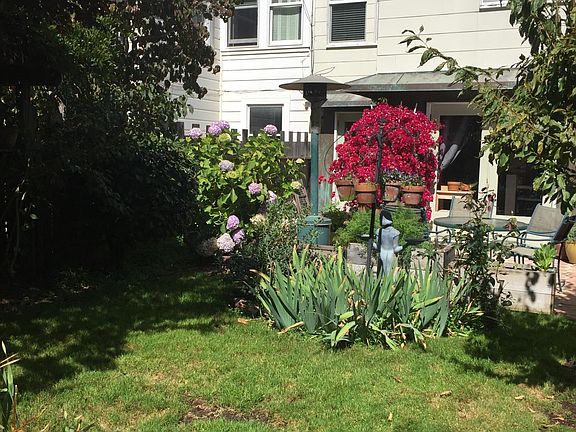 Common Back Yard