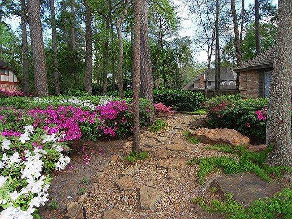 3rd image of 2803 Trail Lodge Dr