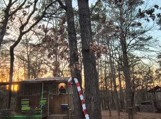 106 Sandy Lane Rd, Scroggins, TX 75480