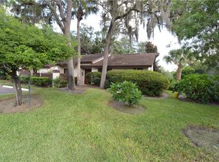 2934 Star Apple Ct, Palm Harbor, FL 34684