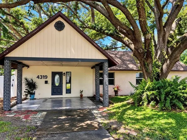 4319 S CAMERON AVENUE, TAMPA, FL 33611