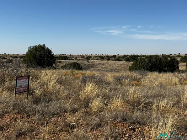 Sunset Pl, Fort Sumner, NM 88119