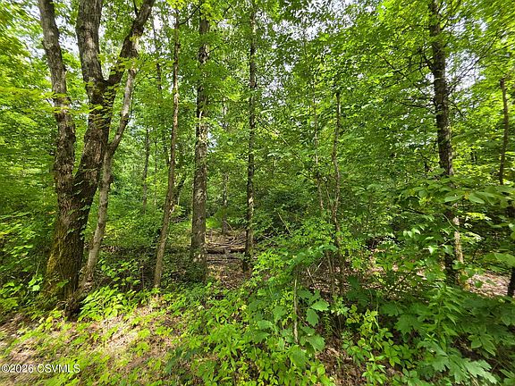 2nd image of 6102 Troxelville Rd