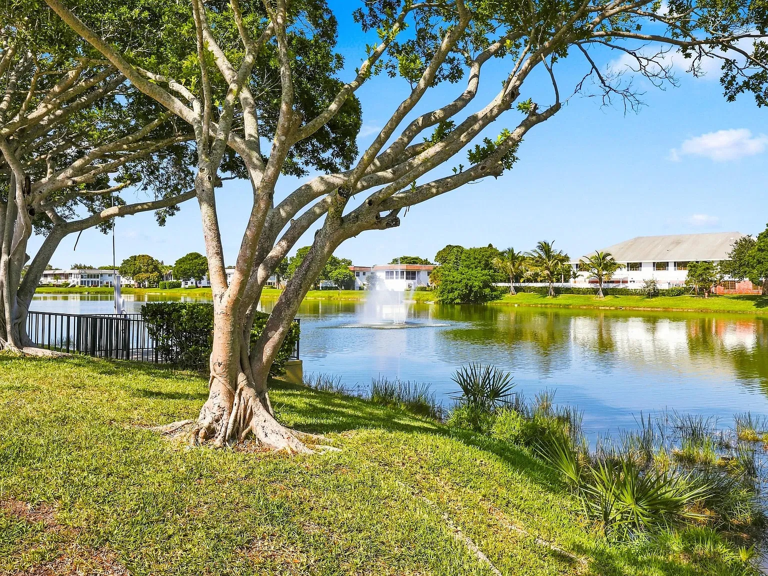 1 bed, 1.5 bath, 684 sqft, $1,500 — Photo 3