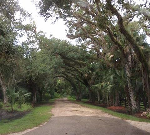 5th image of 18951 Palm Beach Blvd