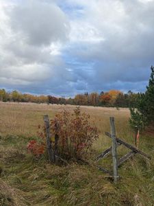 TRACT Gunpowder Rd #D, Merrifield, MN, 56465