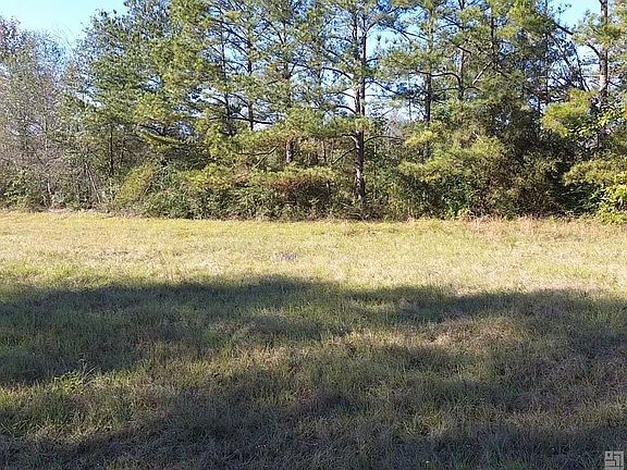 3rd image of 18237 Highway 1057