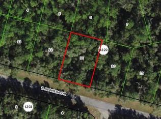 8331 N Alameda Dr, Citrus Springs, FL 34434
