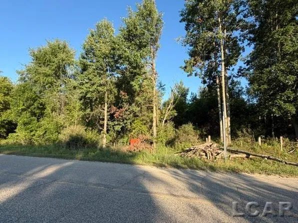 10459 Baker Rd, Jerome, MI 49249