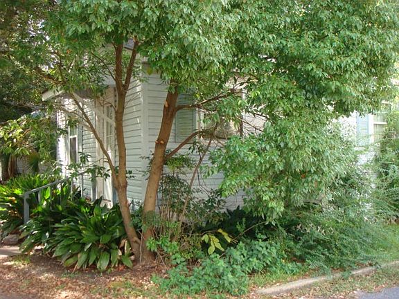 3rd image of 1106 Williams St