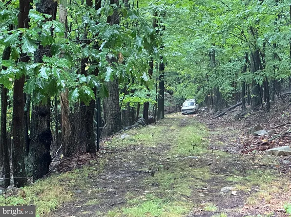 Hunter Ridge Rd, Romney, WV 26757